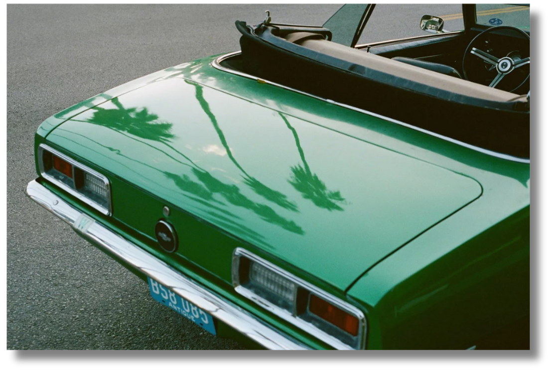The rear of a vintage green car reflects palm trees on its glossy surface—an evocative photographic work from Spanish contemporary artists exploring nostalgia and modernity.
