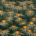 Modern Botanica | The Language of Petal, Stem, and Space