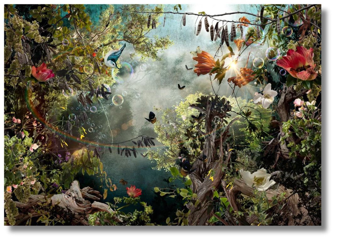 a collage print in a nature filled jungle, bright green trees, blue birds, and multi-color flowers fill the canvas with the sun peaking through the top in this contemporary fine art collection