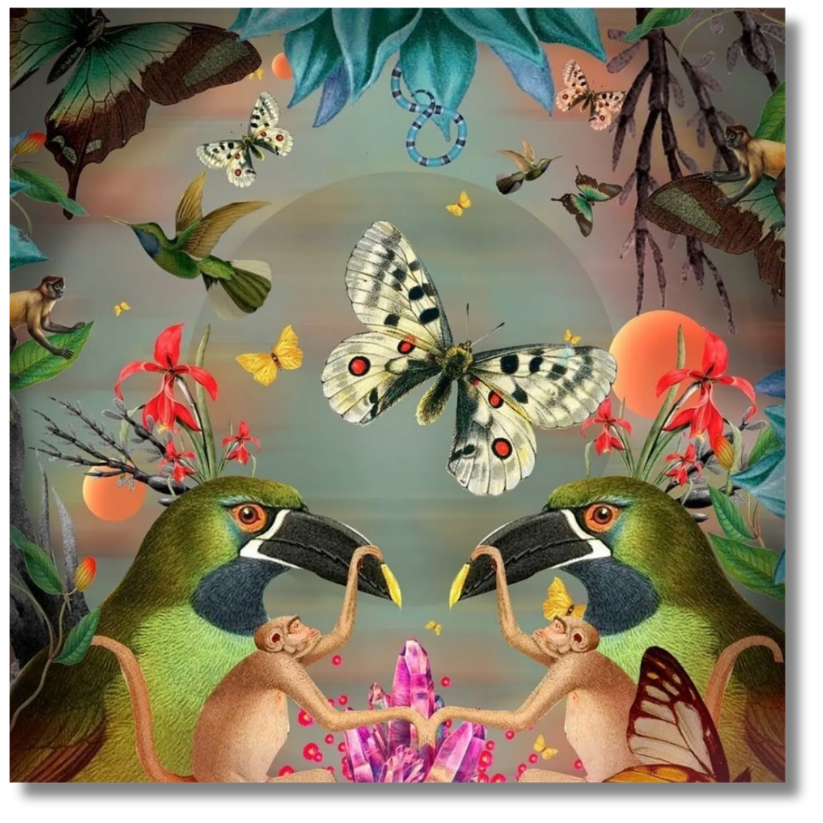 Symmetrical collage featuring toucans, butterflies, hummingbirds, and monkeys surrounding glowing crystals and tropical flowers.